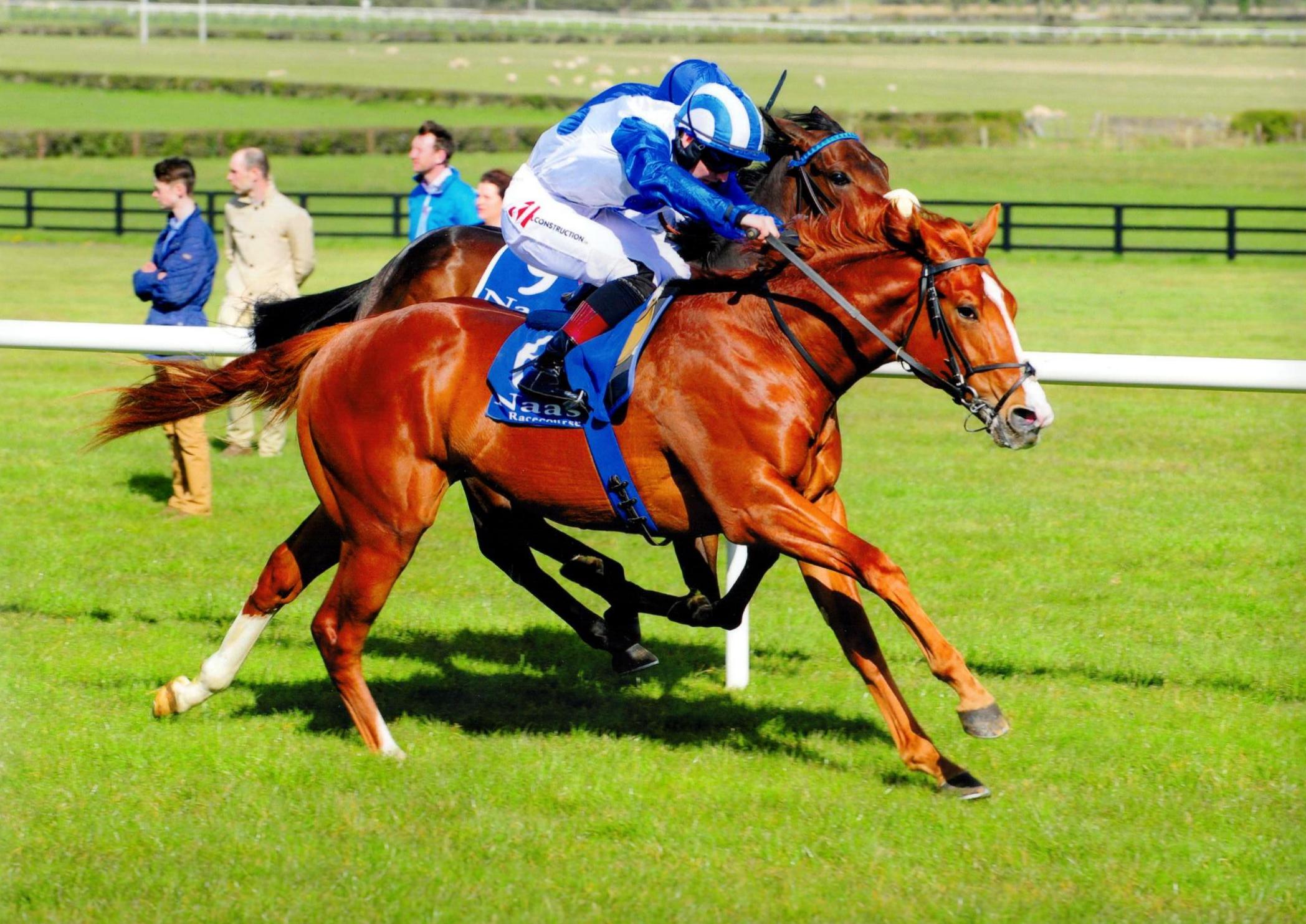 PSYCHEDELIC FUNK provides us with our first 2yo winner of 2016 at Naas 25 April 2016